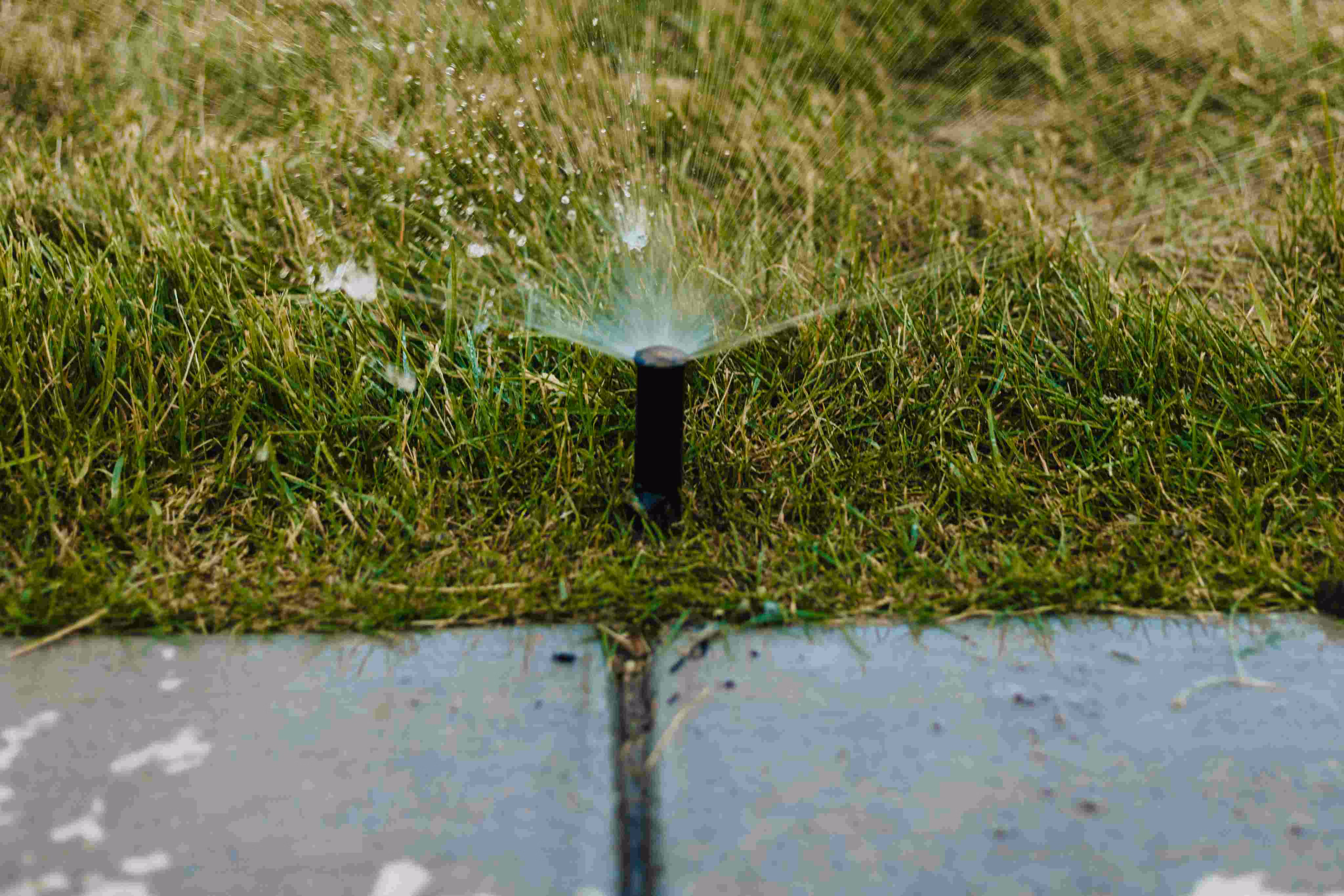 Storm Sprinklers lawn sprinkler head spraying grass at new Utah irrigation installation