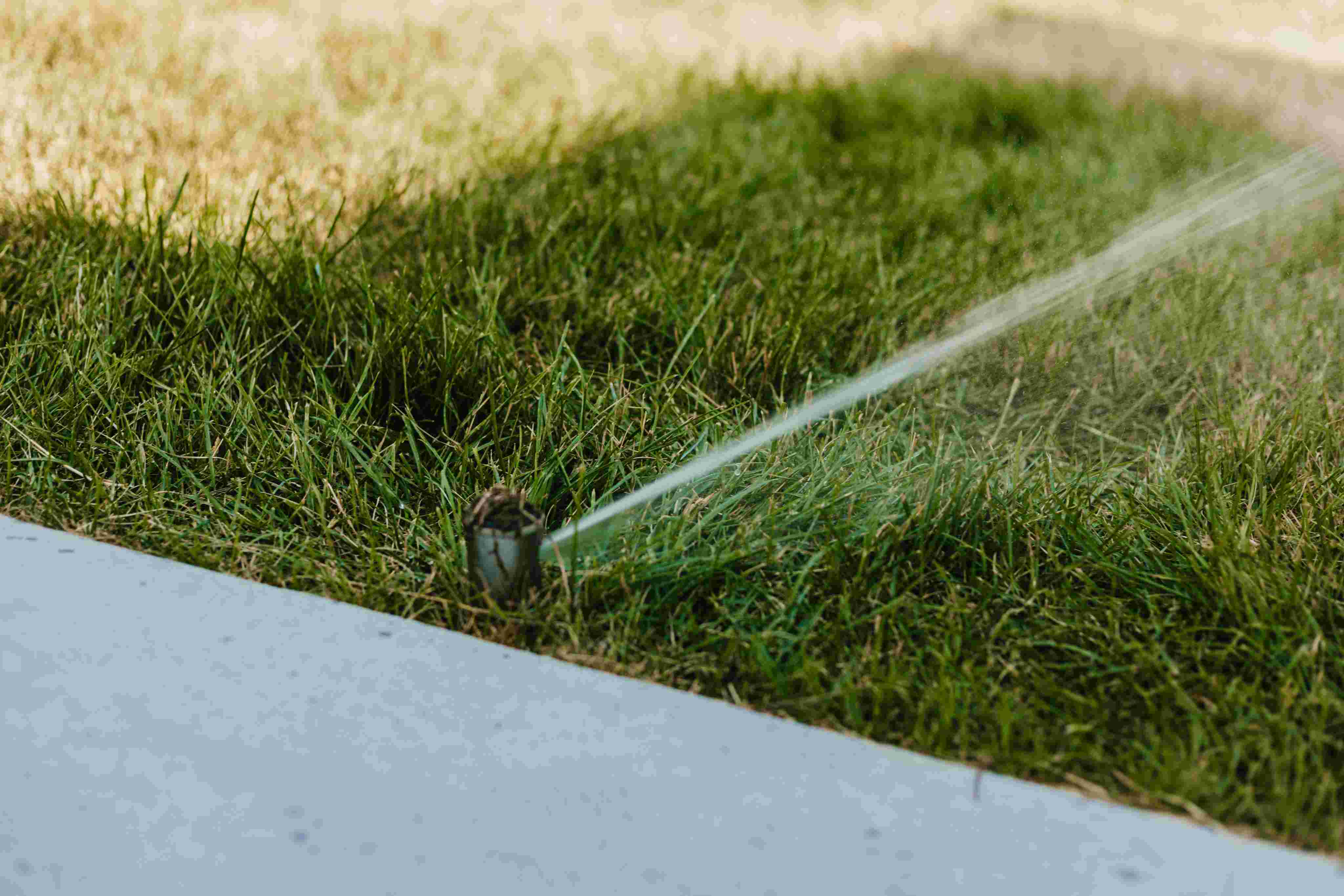 Smart sprinkler system