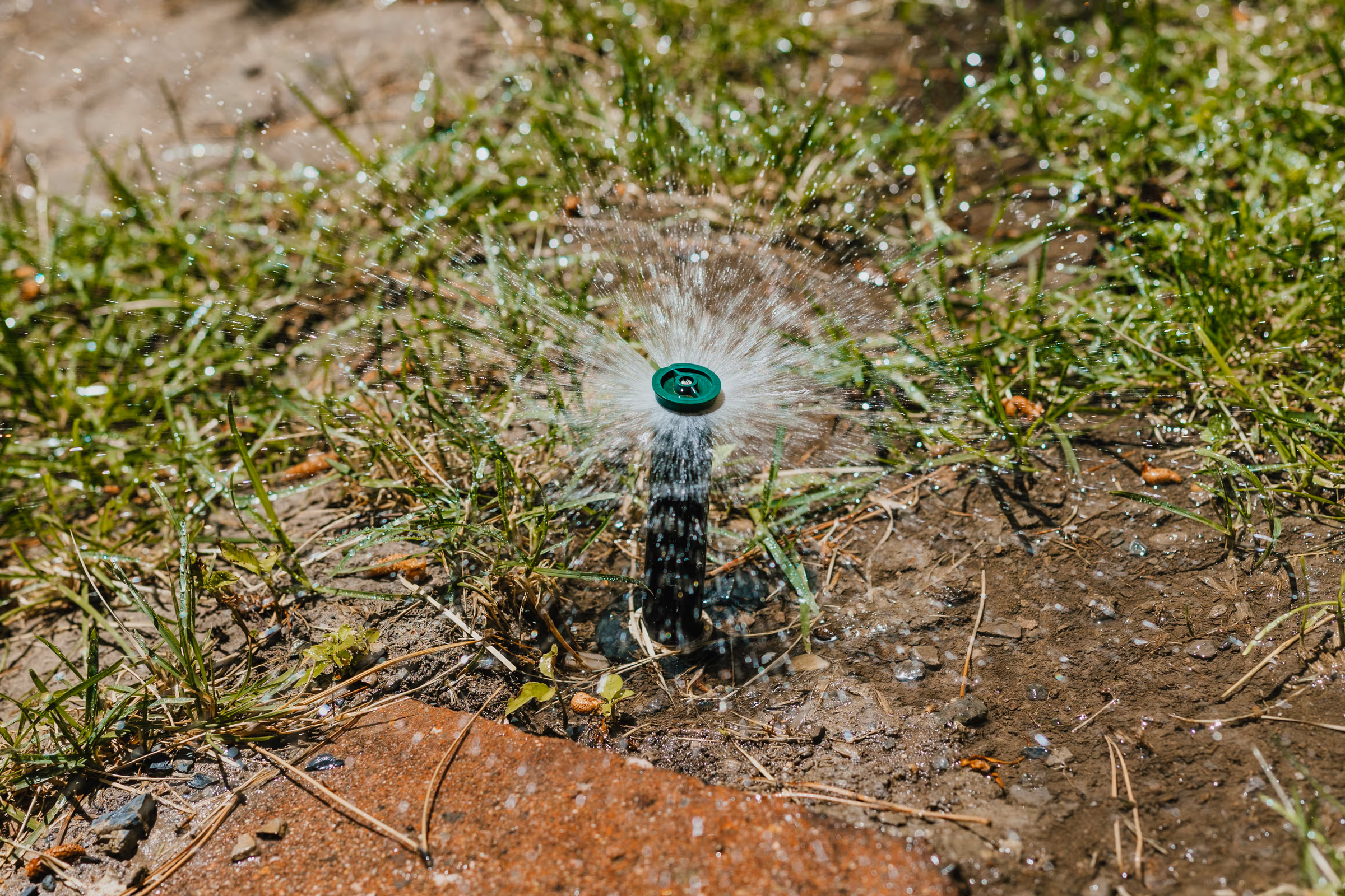 Rotary sprinkler running on a Utah lawn before winterization
